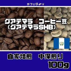 グアテマラコーヒー豆 100g